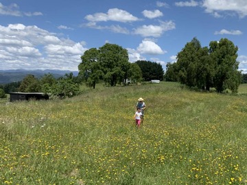 Venta / Parcela / Lago Ranco