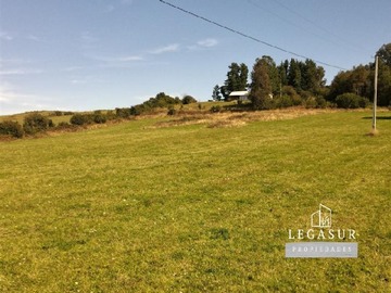 Imagen 5