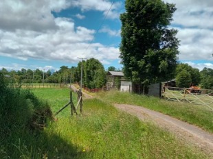 Venta / Parcela / Lago Ranco