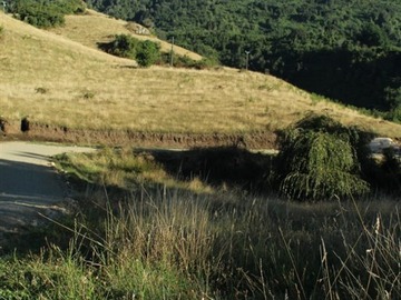 Venta / Parcela / Lago Ranco
