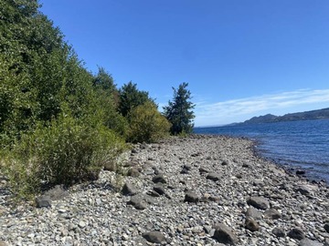 Venta / Parcela / Lago Ranco