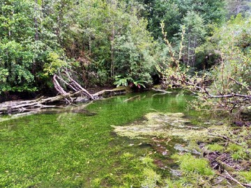 Venta / Parcela / Lago Verde