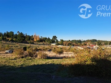 Imagen 20