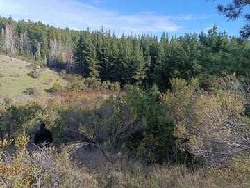 Venta / Parcela / Laja