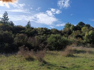 Venta / Parcela / Laja