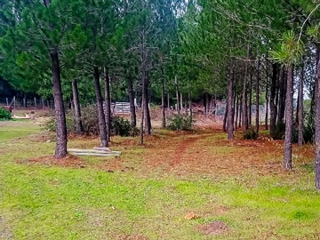 Venta / Parcela / Laja