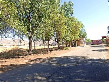 Imagen 8