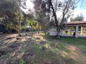 Imagen 12