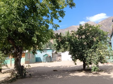Imagen 10