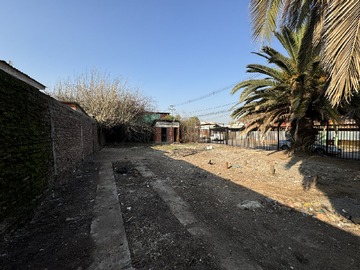 Imagen 5