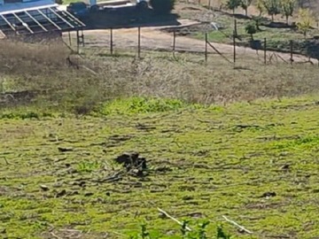 Imagen 6