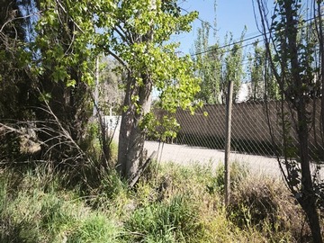 Imagen 6