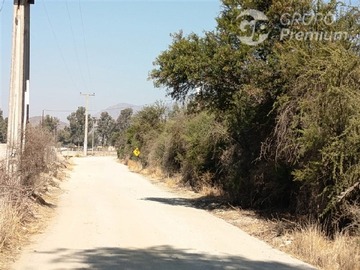 Imagen 17
