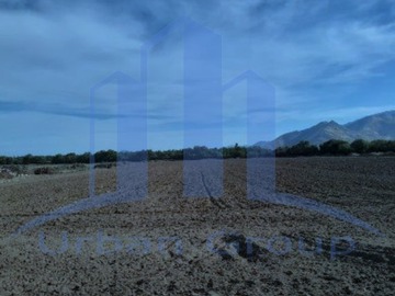 Imagen 19