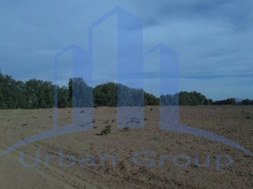 Imagen 16