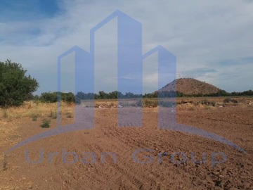 Imagen 8