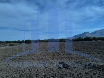 Imagen 19