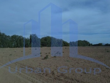 Imagen 16