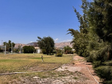 Imagen 3