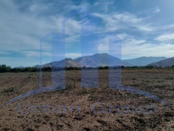 Imagen 10