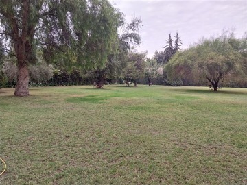 Imagen 26