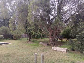 Imagen 16