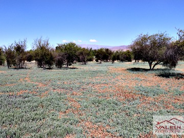 Venta / Parcela / Lampa