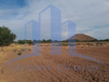 Imagen 8