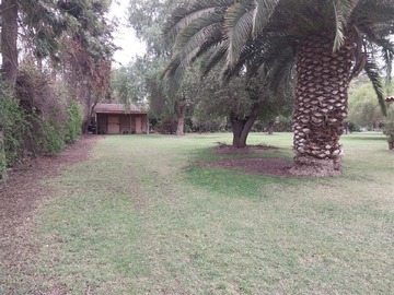 Imagen 28