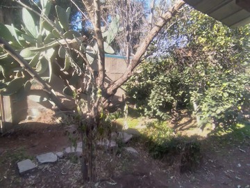 Imagen 9