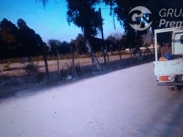 Imagen 7