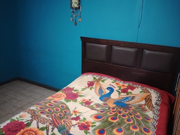 Imagen 5