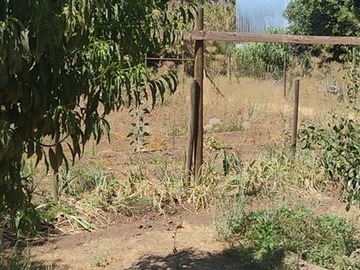 Imagen 18