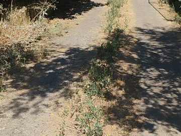Imagen 25
