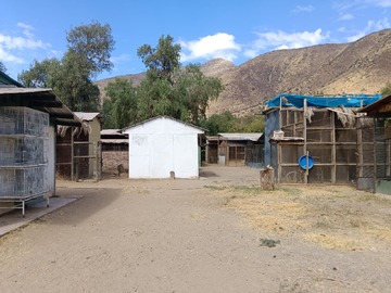 Imagen 6