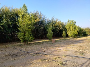Imagen 6