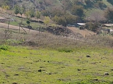 Imagen 7