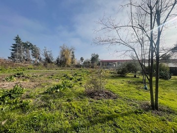 Imagen 9