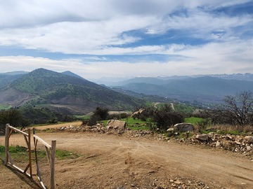 Imagen 4