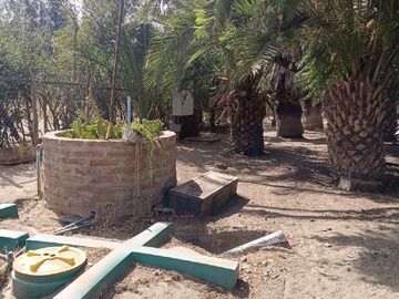 Imagen 13