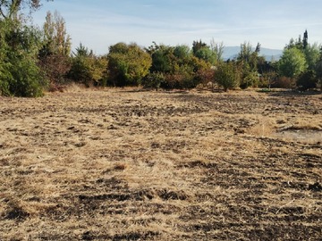 Venta / Parcela / Lampa