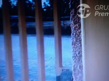 Imagen 6