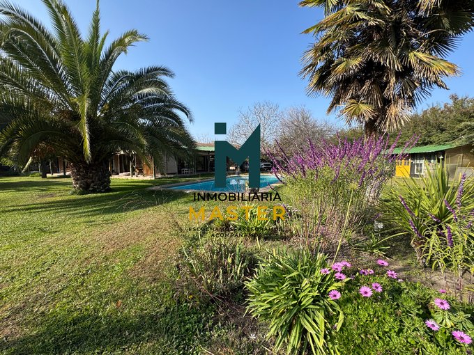 Vista jardín interior