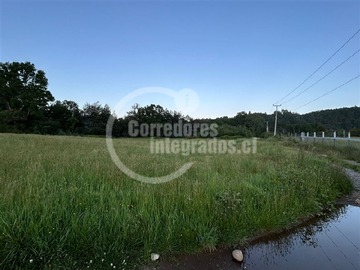 Imagen 8