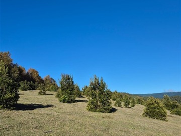 Imagen 19