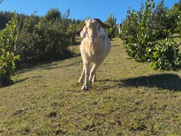 Imagen 6