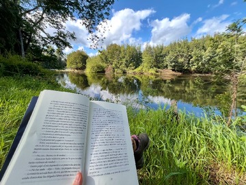 Venta / Parcela / Lanco