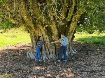 Imagen 14