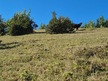 Imagen 9