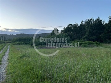 Imagen 10
